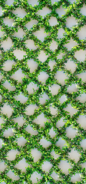 Malla Antihumedad Vegetacion 05