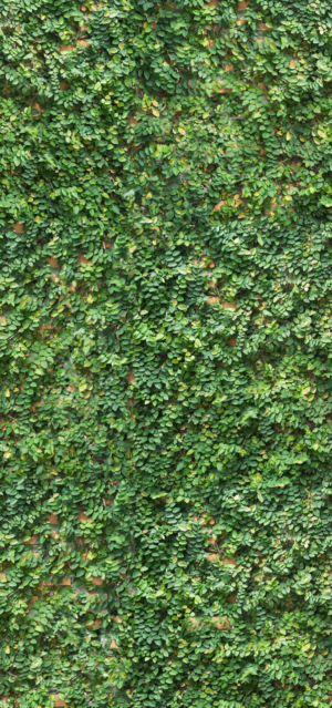 Malla Antihumedad Vegetacion 02